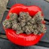 lip smacker seeds