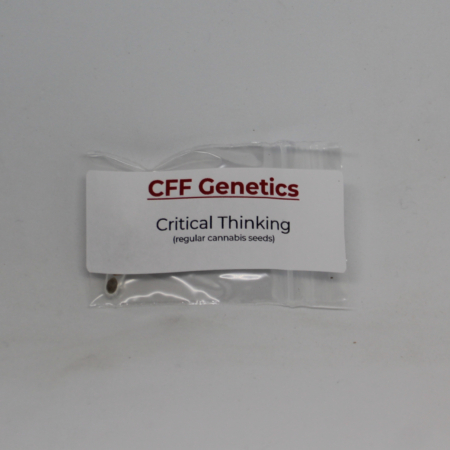 Critical Thinking cannabis seeds