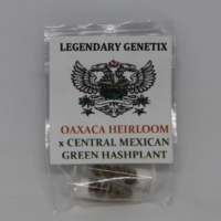 oaxaca heirloom central mexican green hashplant marijuana seeds