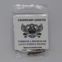 Torreon x Michocan mexican sativa landrace heirloom mota seeds