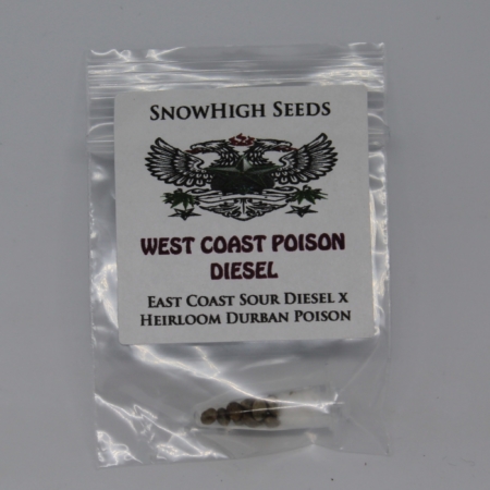 West coast poison diesel cannabis seeds ecsd x durban poison mmj seeds