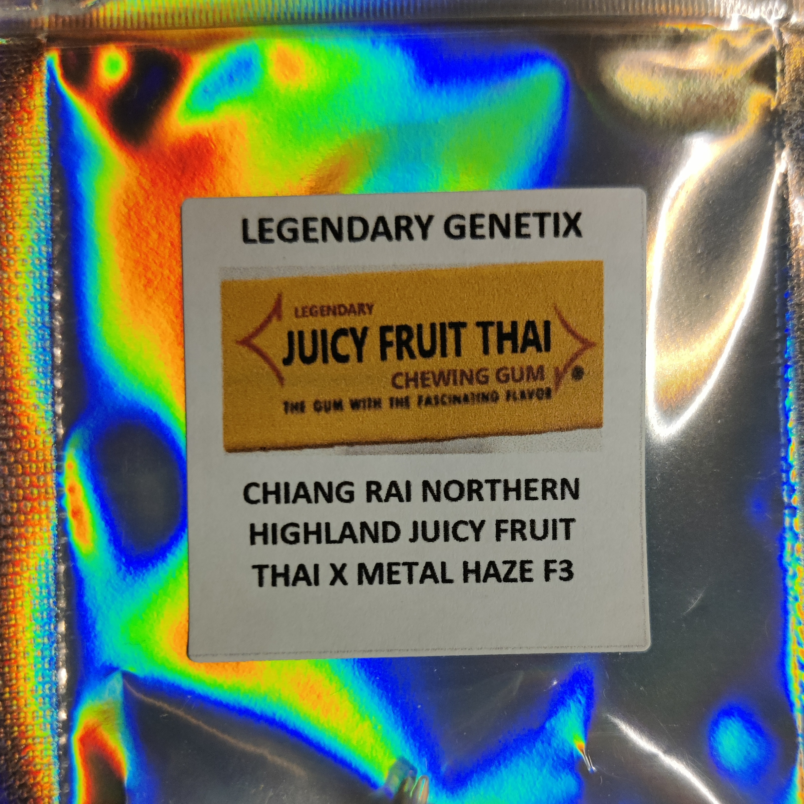 Chiang Rai Juicy Fruit Thai x Dutch Flowers Metal Haze | Snow High 