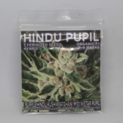 Hindu Pupil seeds | Mass Medical Strains