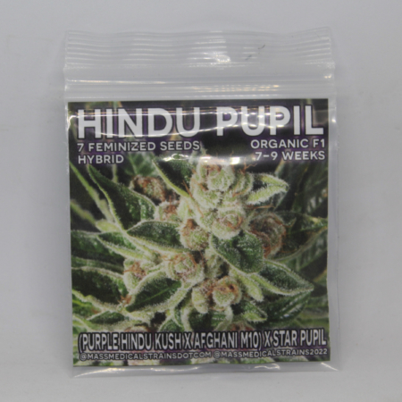 Hindu Pupil seeds | Mass Medical Strains