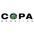 Copa Genetics brand logo