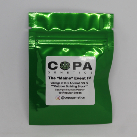 The 'Maine Event' F2 cannabis seeds