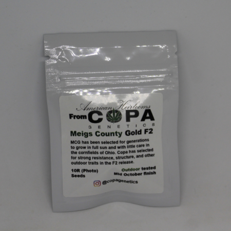 Meige County Gold F2 cannabis strain