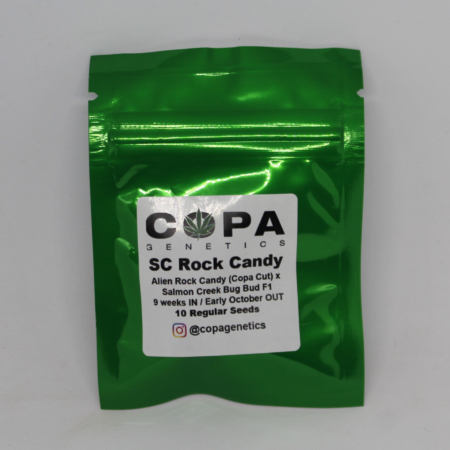 SC Rock Candy cannabis seeds