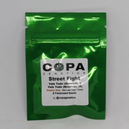 Copa Steet Fight cannabis seeds