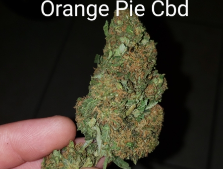 Orange Pie CBD cannabis strain