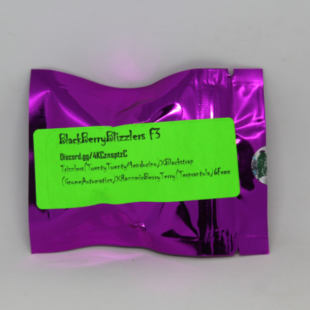 Black Berry Blizzers F3