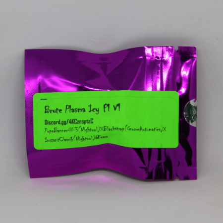 Brute Plasma Icy cannabis seeds