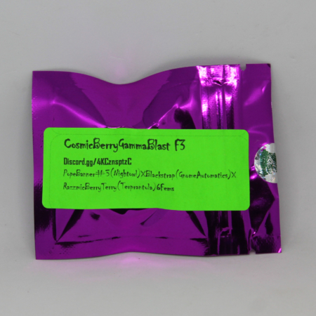 Cosmic Berry Gamma Blast Autoflower seeds