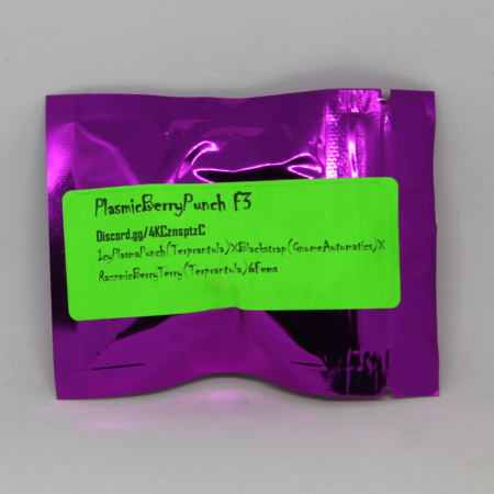 Plasmic Berry Punch F3