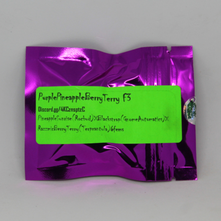 Purple Pineapppe Berry Terry F2 mmj seeds