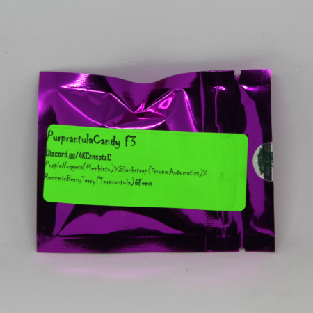 Purprantula Candy F3 cannabis seeds