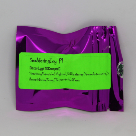 Smoldering Icy cannabis seeds