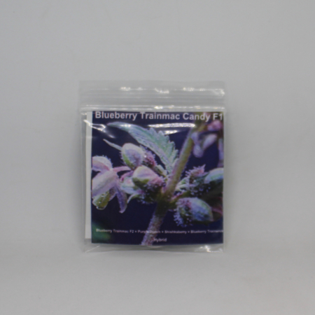Blueberry Trainmac Candy