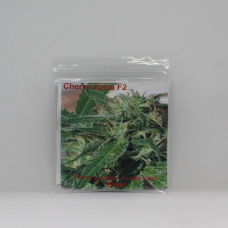 Cherry Spice mmj seeds