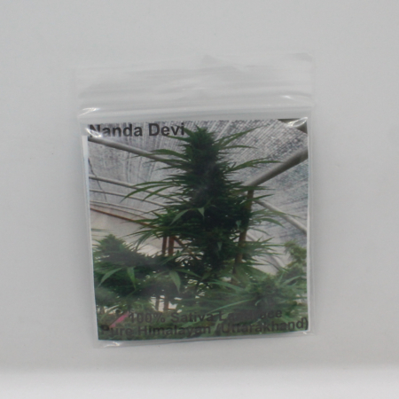 Nanda Devi cannabis seeds