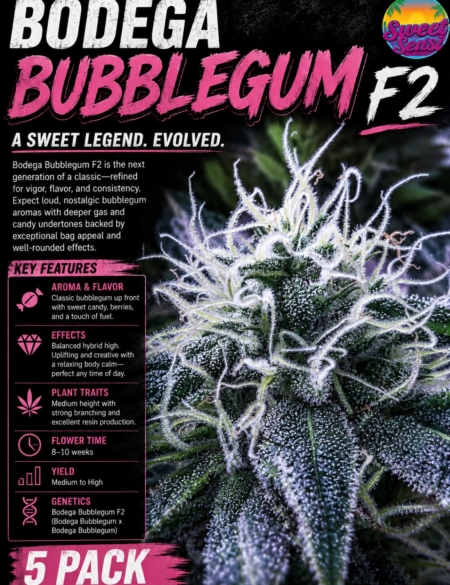 Bodega Bubblegum cannabis seeds