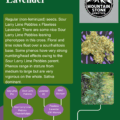 Sour Lavender cannabis seeds chart