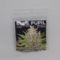 Blue Pupil cannabis seeds