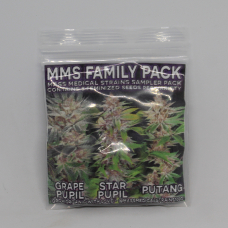 MMS Family pack- 3 packs of cannabis seeds