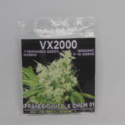 VX 2000 cannabis seeds