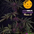 Acid House rare mutant cannabis seeds version 2